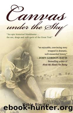 Canvas Under the Sky by Robin Binckes