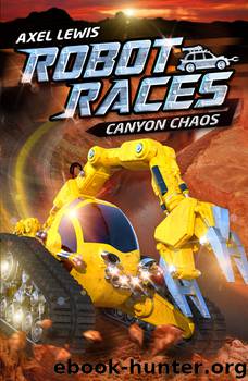 Canyon Chaos by Axel Lewis