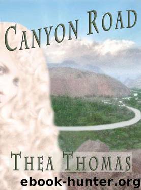 Canyon Road by Thomas Thea