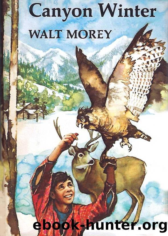 Canyon Winter by Morey Walt