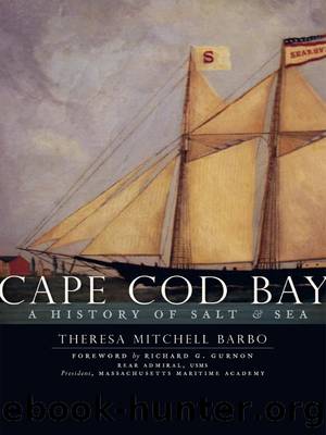 Cape Cod Bay by Theresa Mitchell Barbo