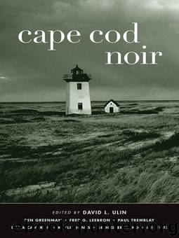 Cape Cod Noir (Akashic Noir) by David L. Ulin