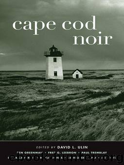 Cape Cod Noir by David L Ulin