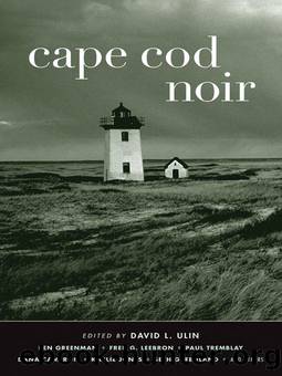 Cape Cod Noir by Ulin David L