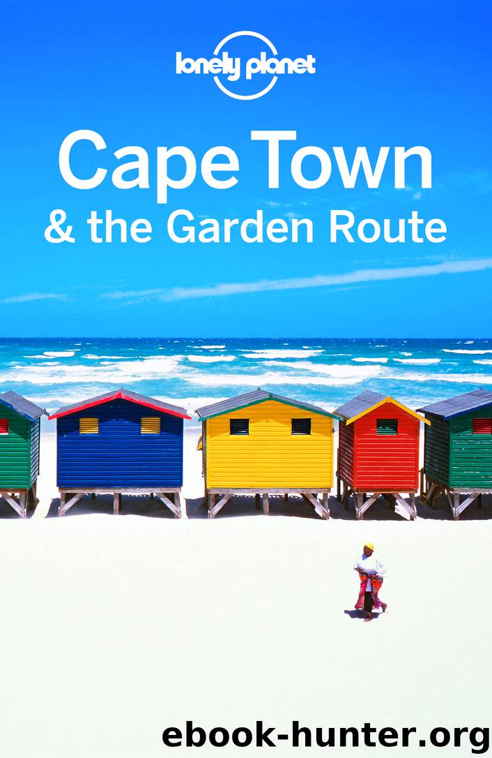 Cape Town & The Garden Route Travel Guide by Lonely Planet