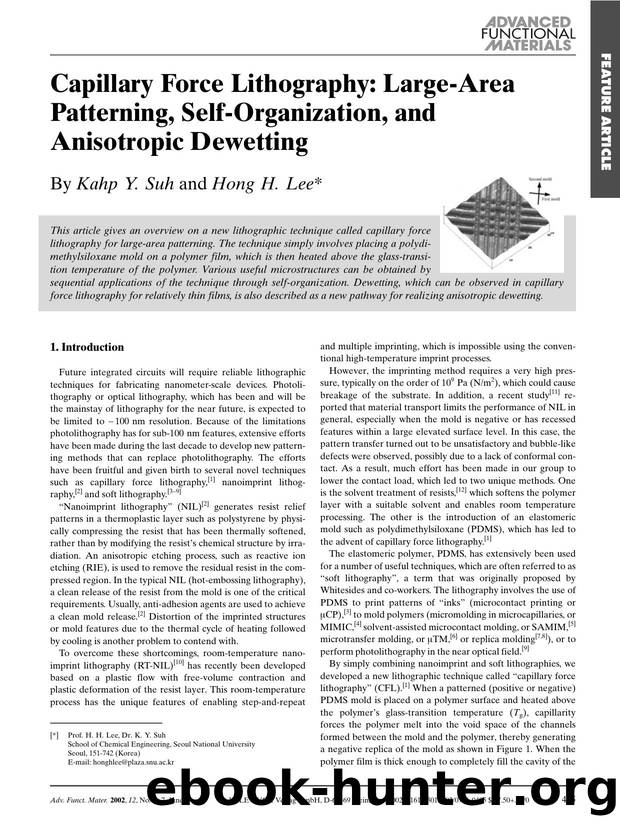 Capillary Force Lithography: Large-Area Patterning, Self-Organization, and Anisotropic Dewetting by Unknown