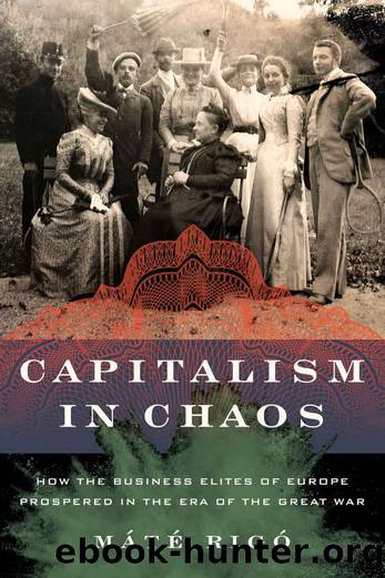 Capitalism in Chaos: How the Business Elites of Europe Prospered in the Era of the Great War by Máté Rigó