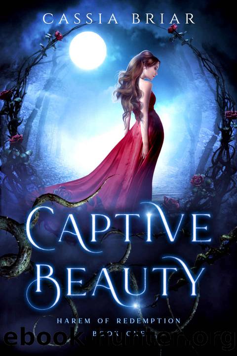 Captive Beauty: Harem of Redemption 1 by Briar Cassia