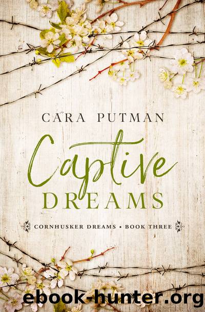 Captive Dreams by Cara Putman