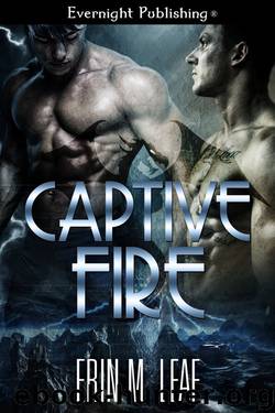 Captive Fire by Erin M. Leaf
