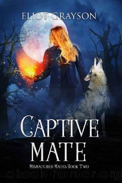 Captive Mate (Mismatched Mates Book 2) by Eliot Grayson