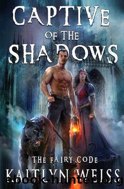 Captive of the Shadows (The Fairy Code Book #1) by Kaitlyn Weiss