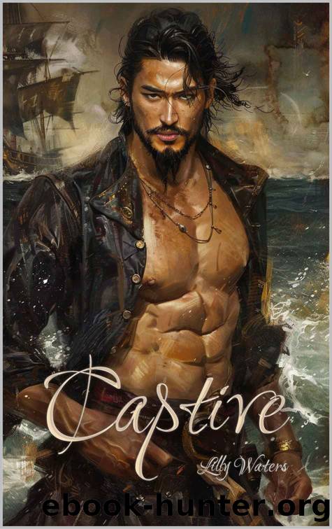 Captive: East Asian Pirate Romance by Lilly Waters