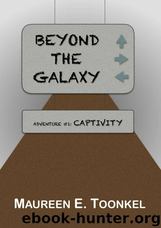 Captivity by Maureen Toonkel
