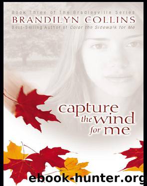 Capture the Wind for Me by Brandilyn Collins