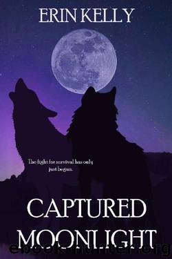Captured Moonlight by Erin Kelly