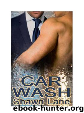 CarWash.PDF by Elemental Alchemy