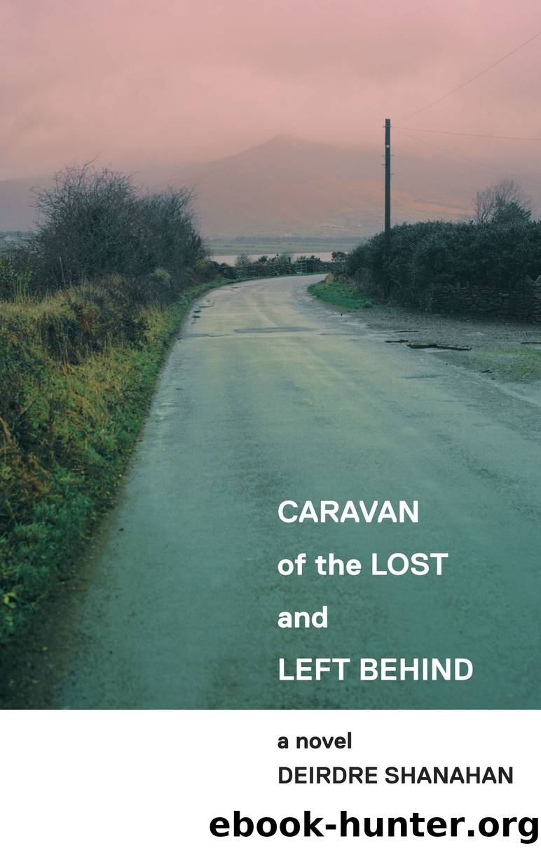Caravan of the Lost and Left Behind by Deirdre Shanahan