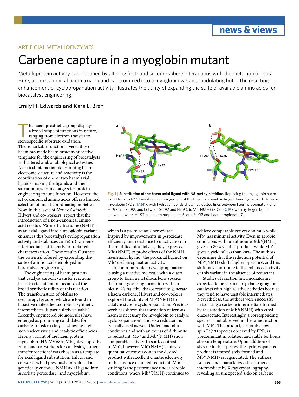 Carbene capture in a myoglobin mutant by Emily H. Edwards & Kara L. Bren
