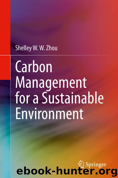 Carbon Management for a Sustainable Environment by Shelley W. W. Zhou
