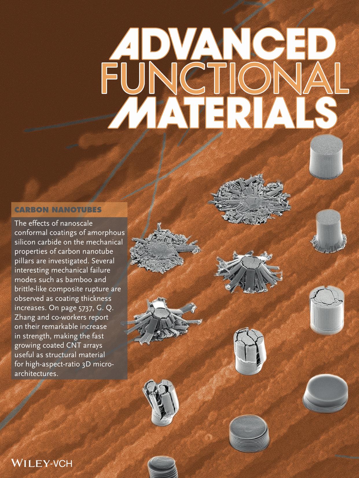 Carbon Nanotubes: Tailoring the Mechanical Properties of HighAspectRatio Carbon Nanotube Arrays using Amorphous Silicon Carbide Coatings (Adv. Funct. Mater. 362014) by Unknown
