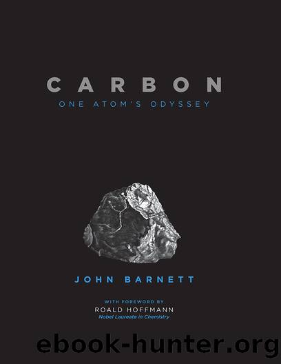 Carbon by John Barnett