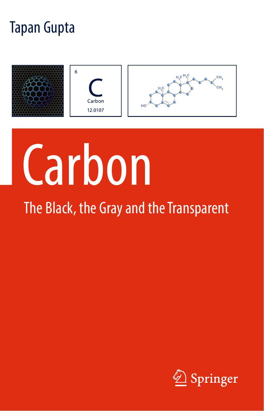 Carbon: The Black, the Gray and the Transparent by Tapan Gupta (auth.)