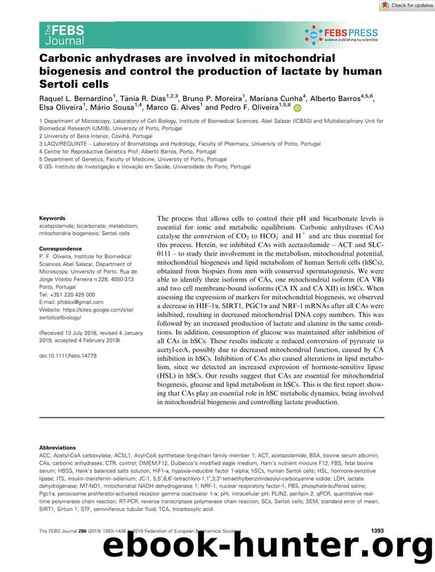 Carbonic anhydrases are involved in mitochondrial biogenesis and control the production of lactate by human Sertoli cells by Unknown