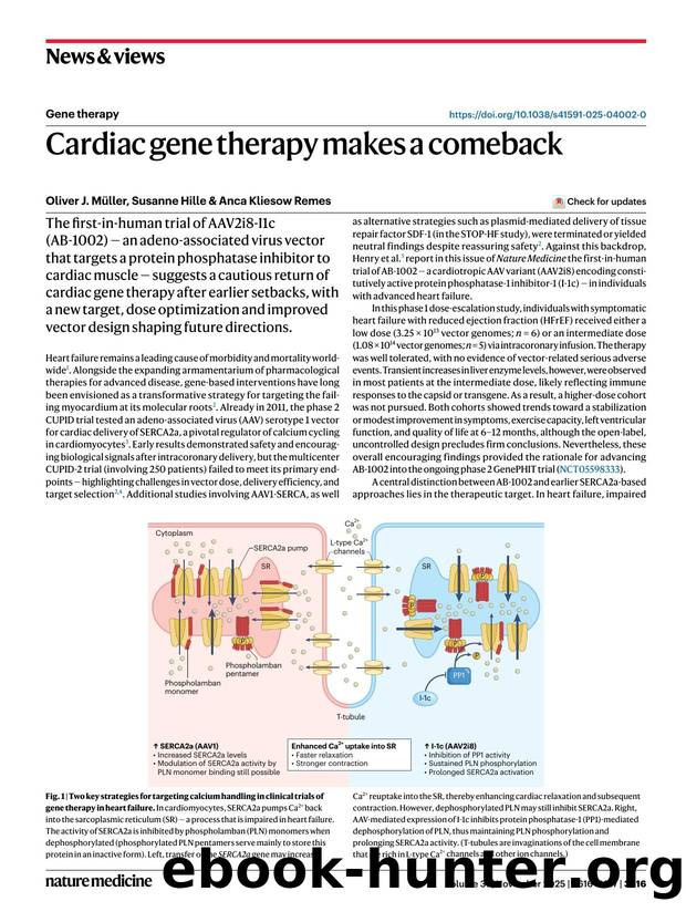 Cardiac gene therapy makes a comeback by Oliver J. Müller & Susanne Hille & Anca Kliesow Remes