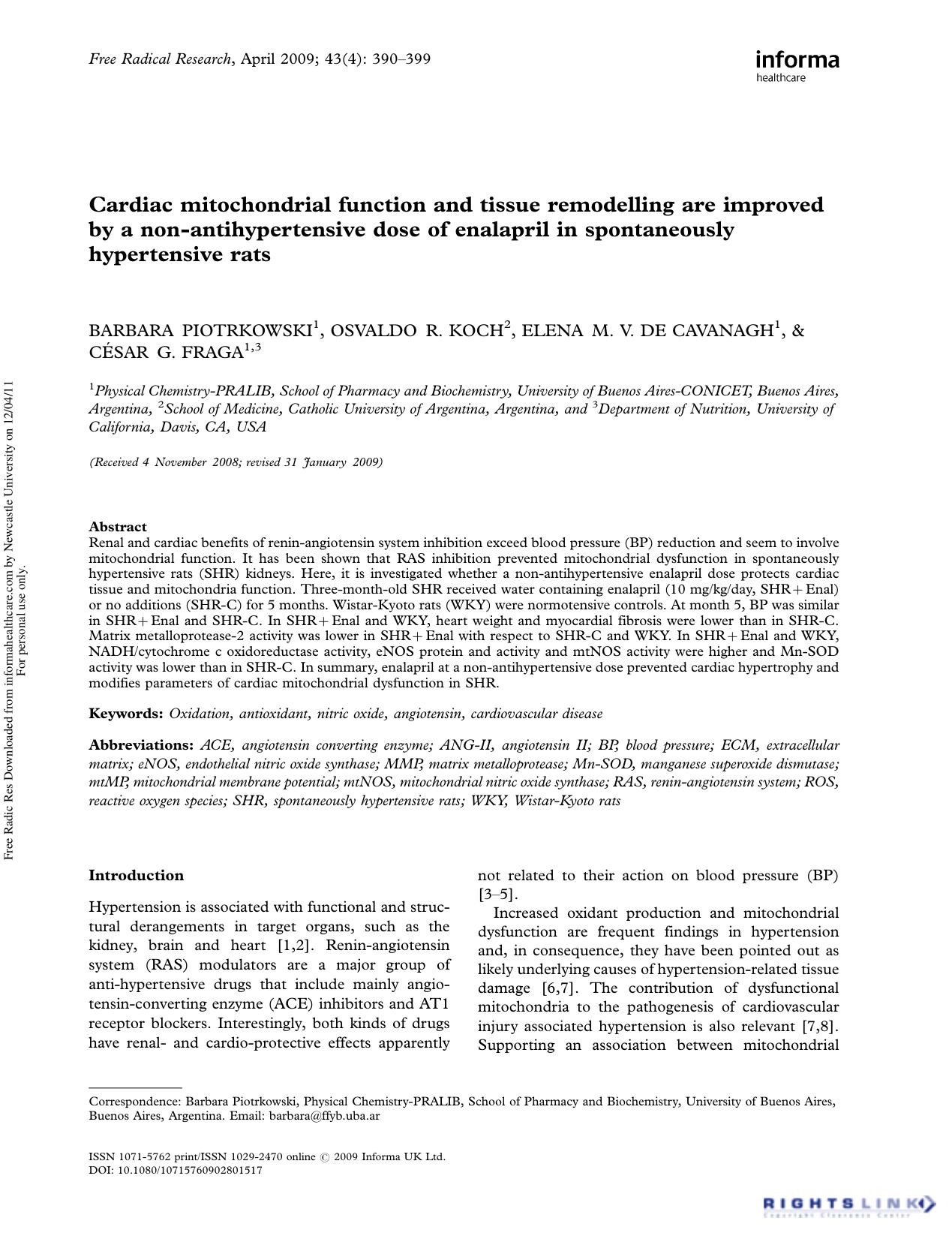 Cardiac mitochondrial function and tissue remodelling are improved by a non-antihypertensive dose of enalapril in spontaneously hypertensive rats by Barbara Piotrkowski1* Osvaldo R. Koch2 Elena M. V. De Cavanagh1 César G. Fraga1 3