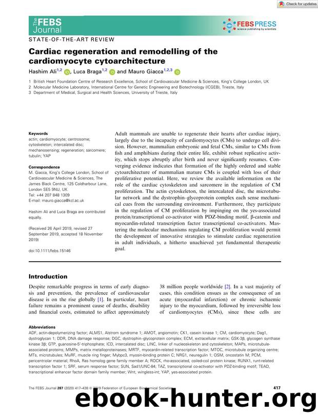 Cardiac regeneration and remodelling of the cardiomyocyte cytoarchitecture by Unknown