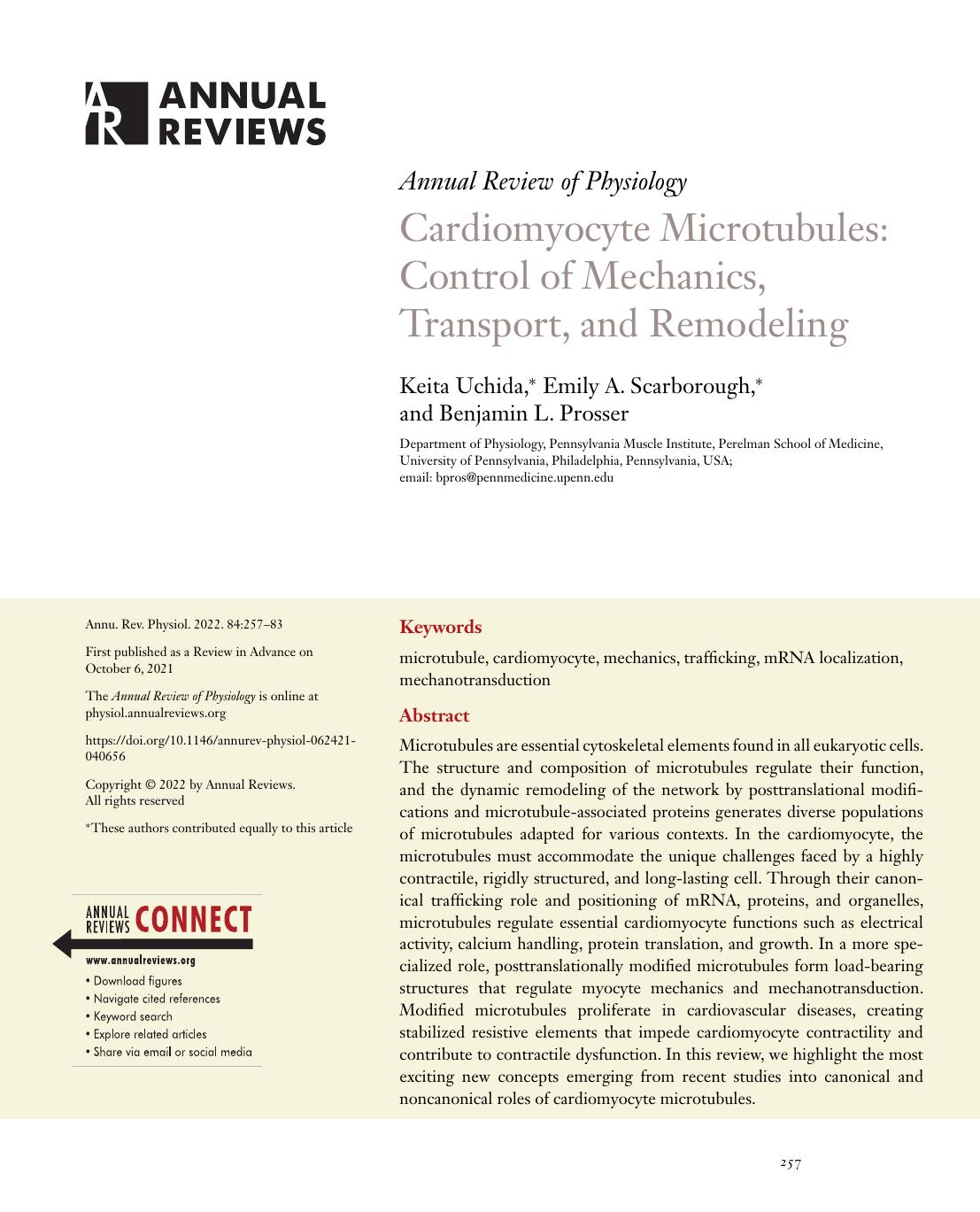 Cardiomyocyte Microtubules: Control of Mechanics, Transport, and Remodeling by Keita Uchida Emily A. Scarborough Benjamin L. Prosser