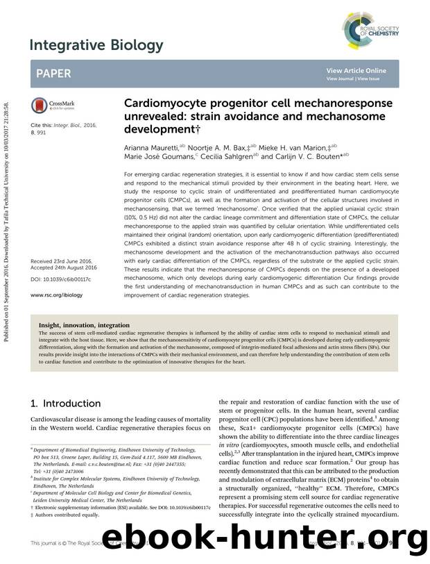 Cardiomyocyte progenitor cell mechanoresponse unrevealed: strain avoidance and mechanosome development by unknow
