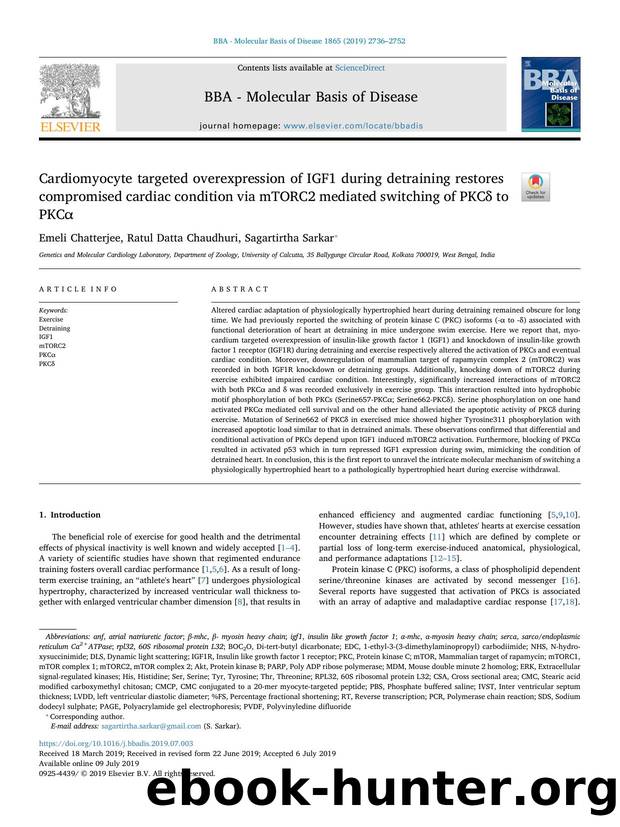 Cardiomyocyte targeted overexpression of IGF1 during detraining restores compromised cardiac condition via mTORC2 mediated switching of PKCÎ´ to PKCÎ± by Emeli Chatterjee & Ratul Datta Chaudhuri & Sagartirtha Sarkar