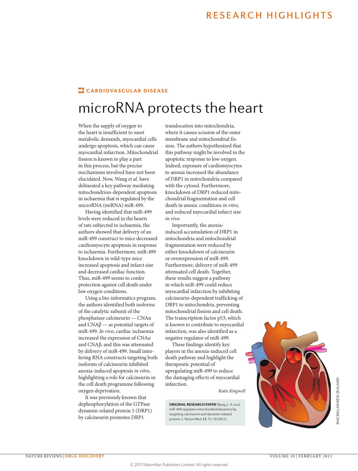 Cardiovascular disease: microRNA protects the heart by Katie Kingwell