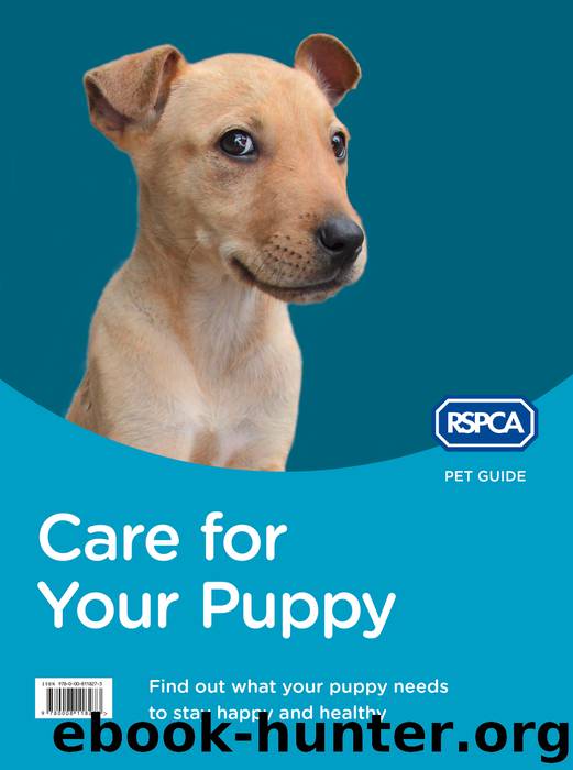 Care for Your Puppy (RSPCA Pet Guide) by RSPCA