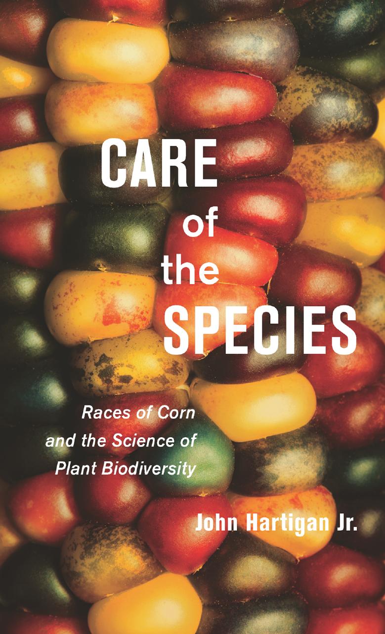 Care of the Species : Races of Corn and the Science of Plant Biodiversity by John Hartigan Jr