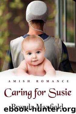 Caring For Susie (Amy's Story Book 1) by Brenda Maxfield