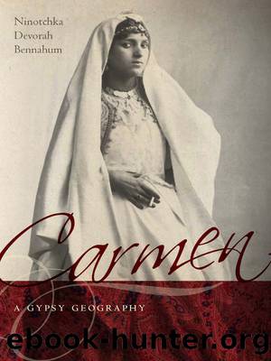 Carmen, a Gypsy Geography by Bennahum Ninotchka;