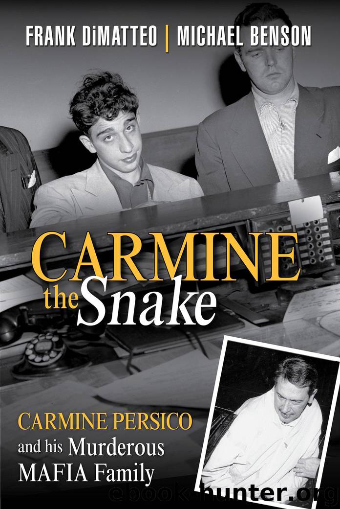 Carmine the Snake by Frank DiMatteo