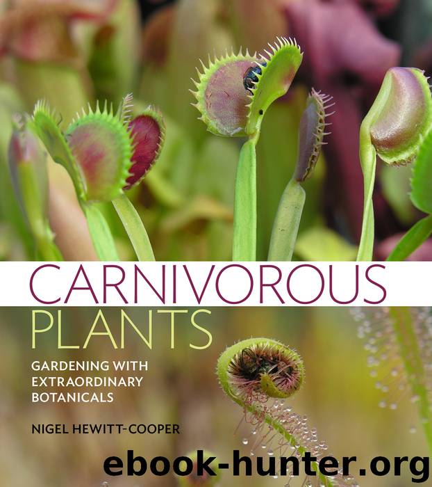 Carnivorous Plants by Nigel Hewitt-Cooper