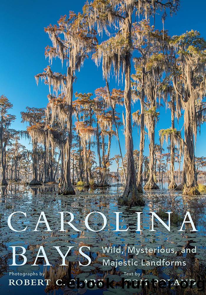 Carolina Bays: Wild, Mysterious, and Majestic Landforms by Robert C. Clark & Tom Poland