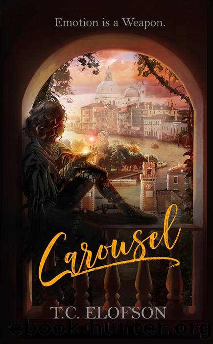 Carousel by T.C. Elofson