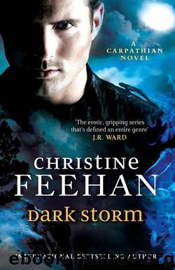 Carpathian 23 - Dark Storm by Christine Feehan