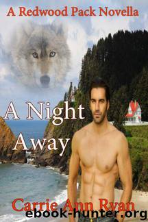 Carrie Ann Ryan by A Night Away