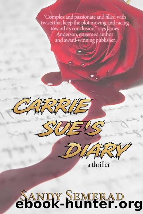 Carrie Sue's Diary by Sandy Semerad