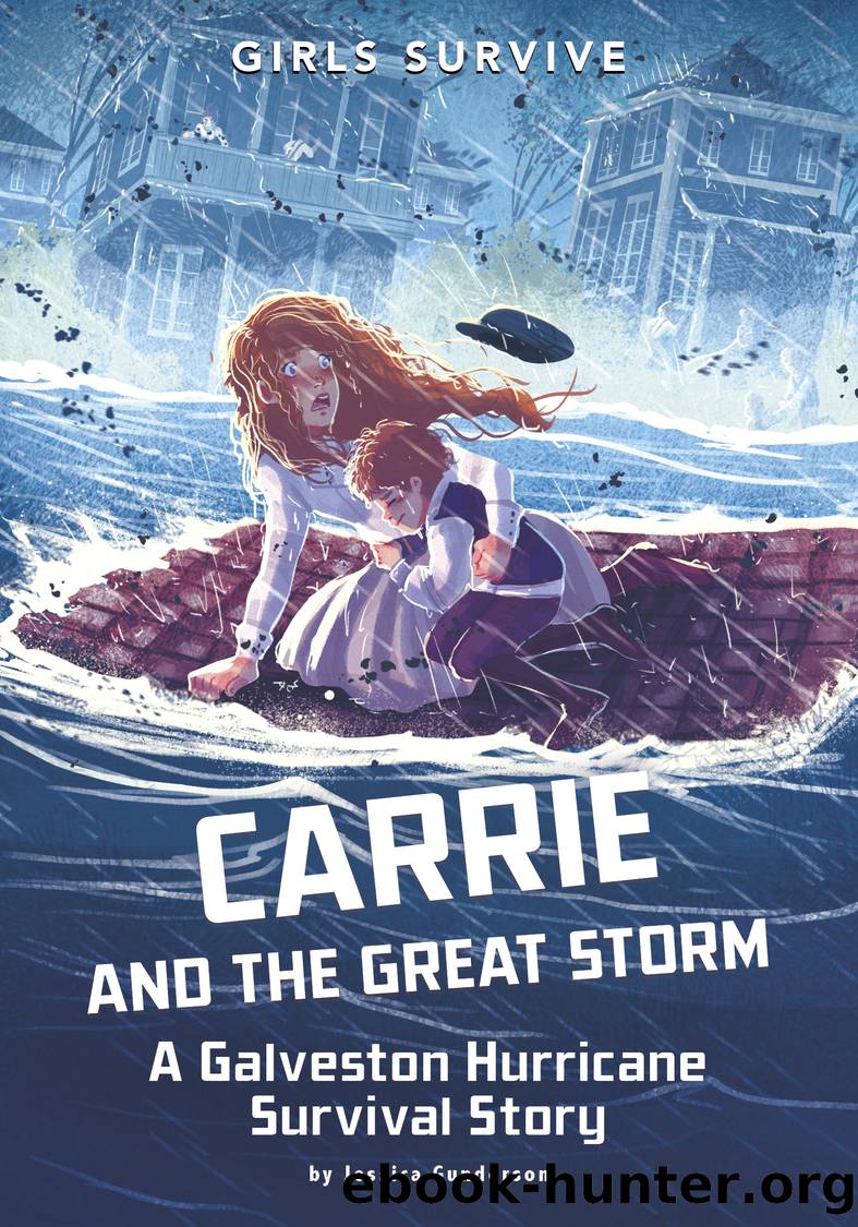 Carrie and the Great Storm by Jessica Gunderson