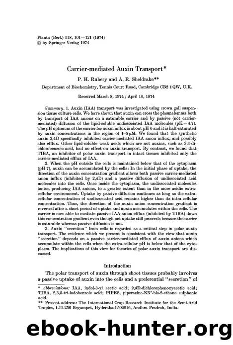 Carrier-mediated auxin transport by Unknown