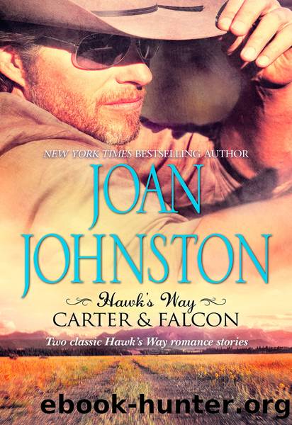 Carter & Falcon by Joan Johnston