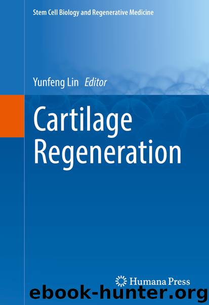 Cartilage Regeneration by Yunfeng Lin
